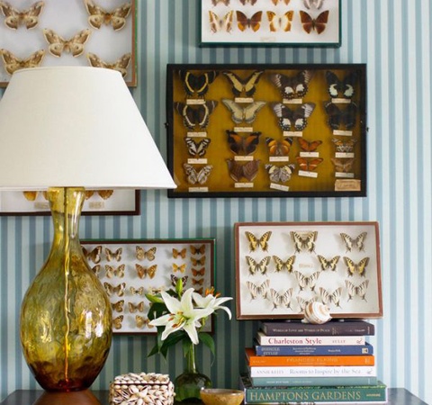 艺术品收藏的风水